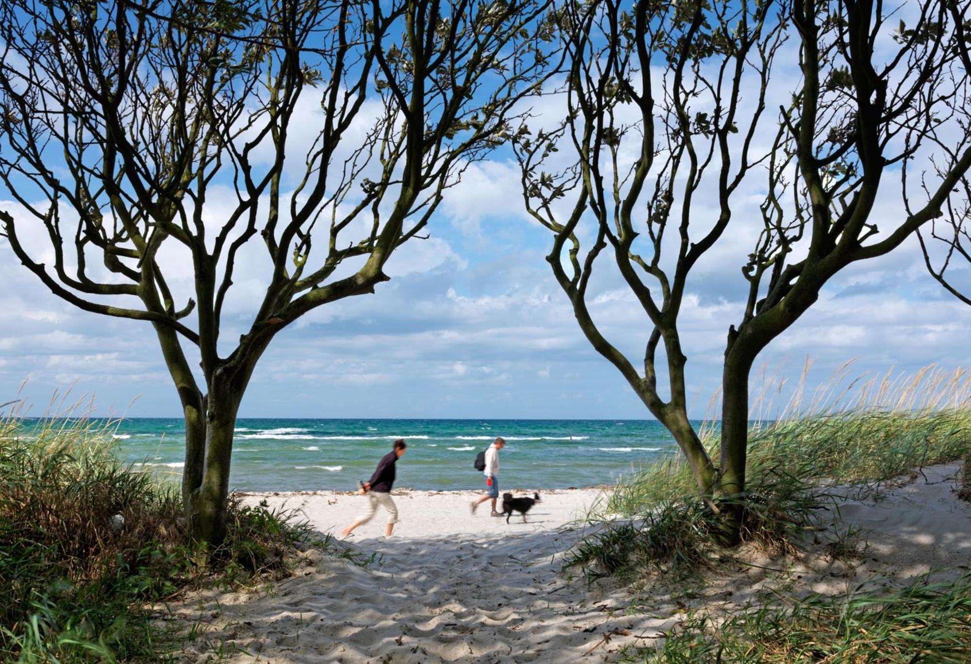 Insel-Idyll Sonnenschein Apartment Insel Poel Bagian luar foto